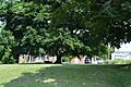 Umsted Farm lawn