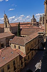 University of Salamanca 03