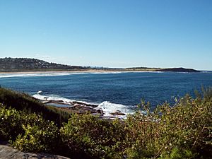 View from Dee Why Cliffs