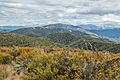 View from Mt Richardson, Mount Thomas Forest, Canterbury, New Zealand 02