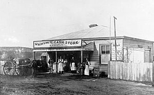 Waikumete Cash Store