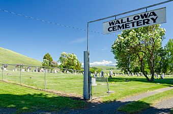 Wallowa Cemetery, Wallowa - DPLA - f5861473966452202d17aa5e9a8c78cc
