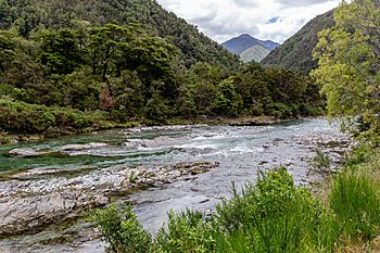 Wangapeka River, Kahurangi, New Zealand 05.jpg