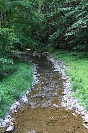 West Branch Run