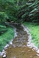 West Branch Run
