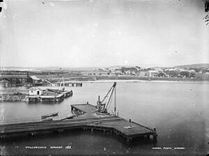 Wollongong Wharf (2363515734)