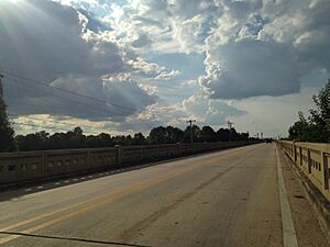 Woodrow Wilson Bridge (Jackson, Mississippi)