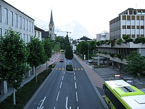 3202 - Vaduz - Äulestrasse