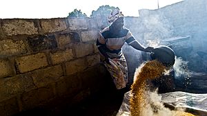 A woman prepares parboiled rice