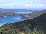 Amami beach