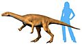 Bagualosaurus NT