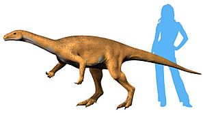 Bagualosaurus NT.jpg