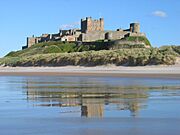 Bamburgh 2006 closeup