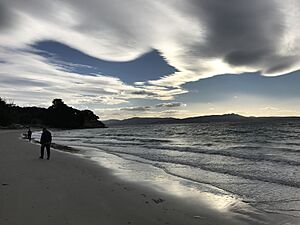 Beach on Maria Island