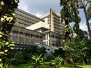 Benh vien Cho Ray -phường 12, Quận 5, TPHCM, Việt Nam - panoramio