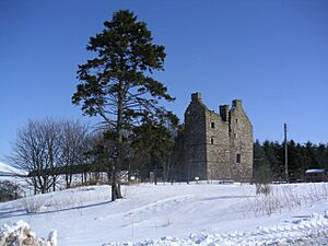 Blairfindy castle - geograph.org.uk - 934460