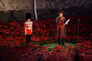 Blood Swept Lands and Seas of Red - Roll of Honour at sunset