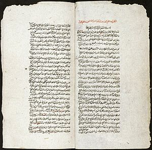 Bodlein Library MS. Arab.d.84 roll332 frame1