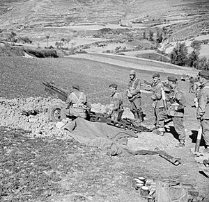 British crew with 75 mm pack howitzer Italy Nov 1943 IWM NA 8515