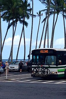Bus in Hilo, Hawaii