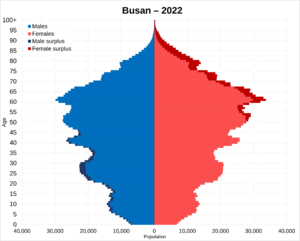 Busan population pyramid in 2022