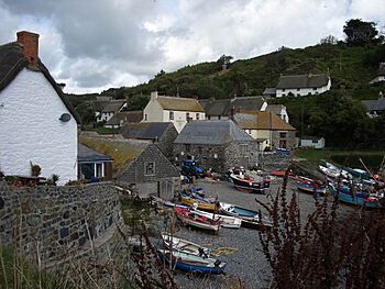 Cadgwith Cove