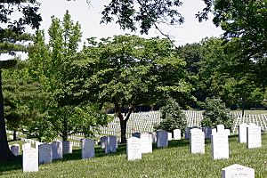 Camp Butler, Confederate graves