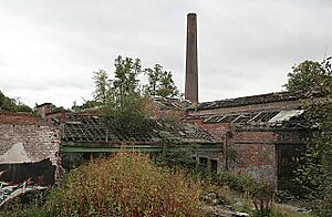 Cheadle Lower Mill - geograph.org.uk - 558432