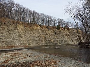 Cleveland Shale exposure at Fort Hill along Rocky River, Cleveland, OH