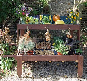 Cogges Manor Farm - display of vegetables grown by volunteers