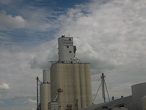 Dalhart Consumers grain elevator, 2008