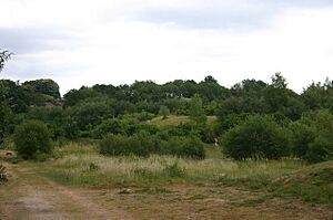 Ditton Quarry - geograph.org.uk - 293740