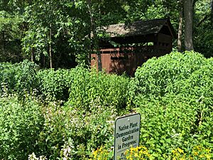 Doylestown Central Park Native Plant Garden 1
