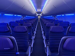 Economy Plus seat on a 737 Max