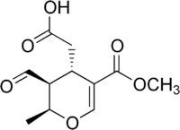 Elenolic acid structure.png