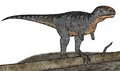 Eoabelisaurus restoration
