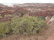 Escalante river 2003