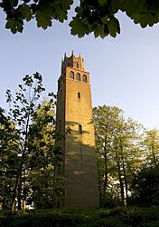 Faringdon Folly - geograph.org.uk - 11743