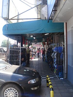 Fernando de la Mora 012 Zona Comercial