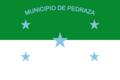 Flag of Pedraza (Magdalena)