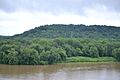 Flannery Island at Ohio-Miami confluence