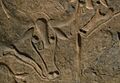 Fondazione Passaré V31 393