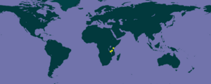 GEOREFERENCED RECORDS OF L. GRANDICEPS - GBIF