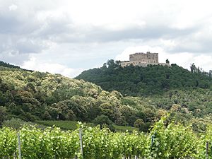 Hambacher Schloß über Wein und Kastanien