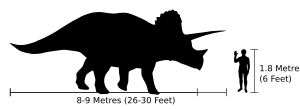 Human-triceratops size comparison