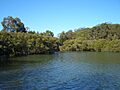 HurstvilleGrove