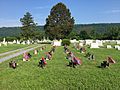 Indian Mound Cemetery Romney WV 2015 06 08 34