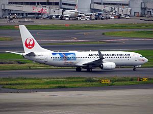 Japan Transocean Air JA07RK Boeing 737-8Q3 Amuro Jet (Starboard-tail)