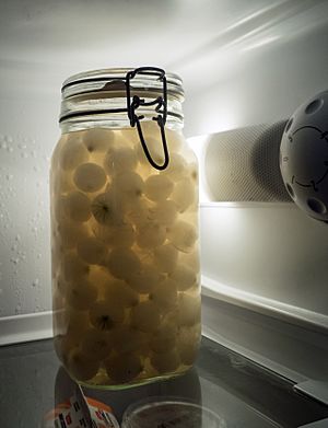 Jar of pickled onions in fridge