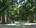 John Luby Park benches - Portland, Oregon